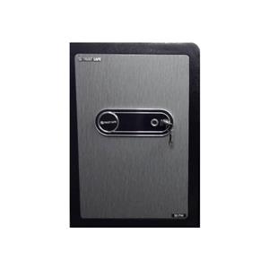 Trustsafe-50FW-Metal