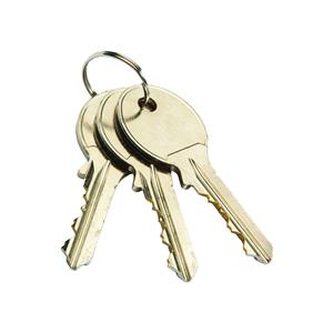 behrizan-switch-cylinder-keys