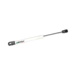 2837-0c989Melloni-3012-1