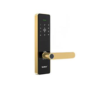 Alock-S300R+-BLACK-GOLD-2