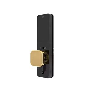 Alock-S350R+-BLACK-GOLD-3