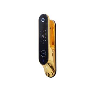Alock-P60+-BLACK-GOLD-2