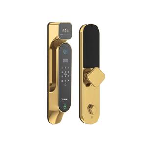 Alock-P60+Face-BLACK-GOLD