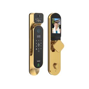 Alock-P60+Pro-BLACK-GOLD
