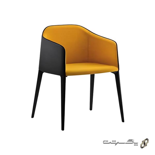 صندلی نظری نایس N301