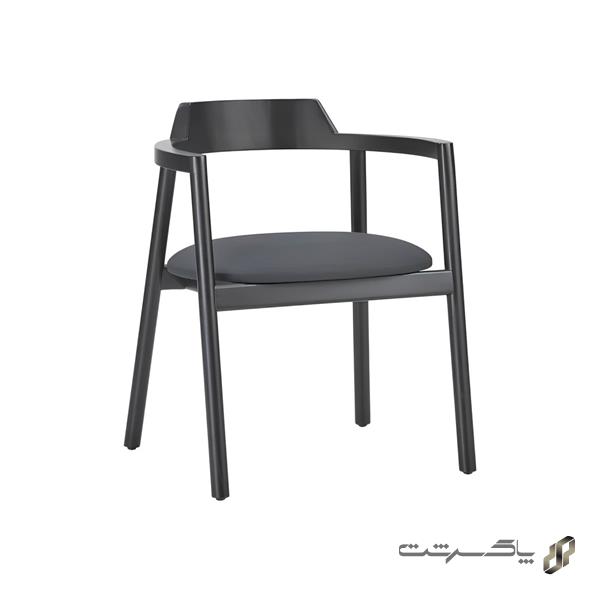 صندلی نظری دوبلین P938