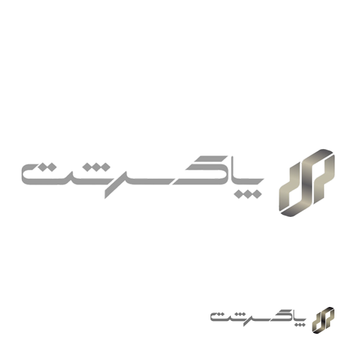 دریل چکشی 10 میلی‌متر رونیکس 2120