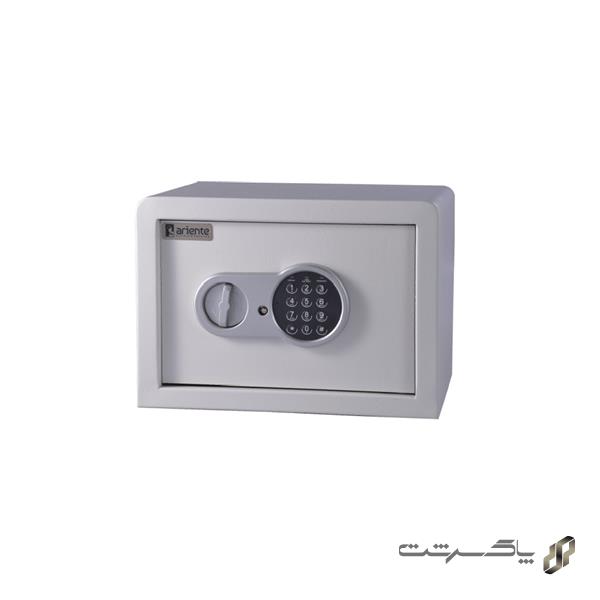 سیف باکس راینو ANT-25D1