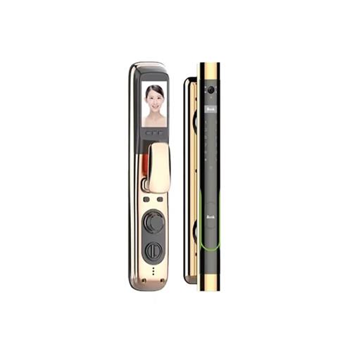 دستگیره دیجیتال روک P251